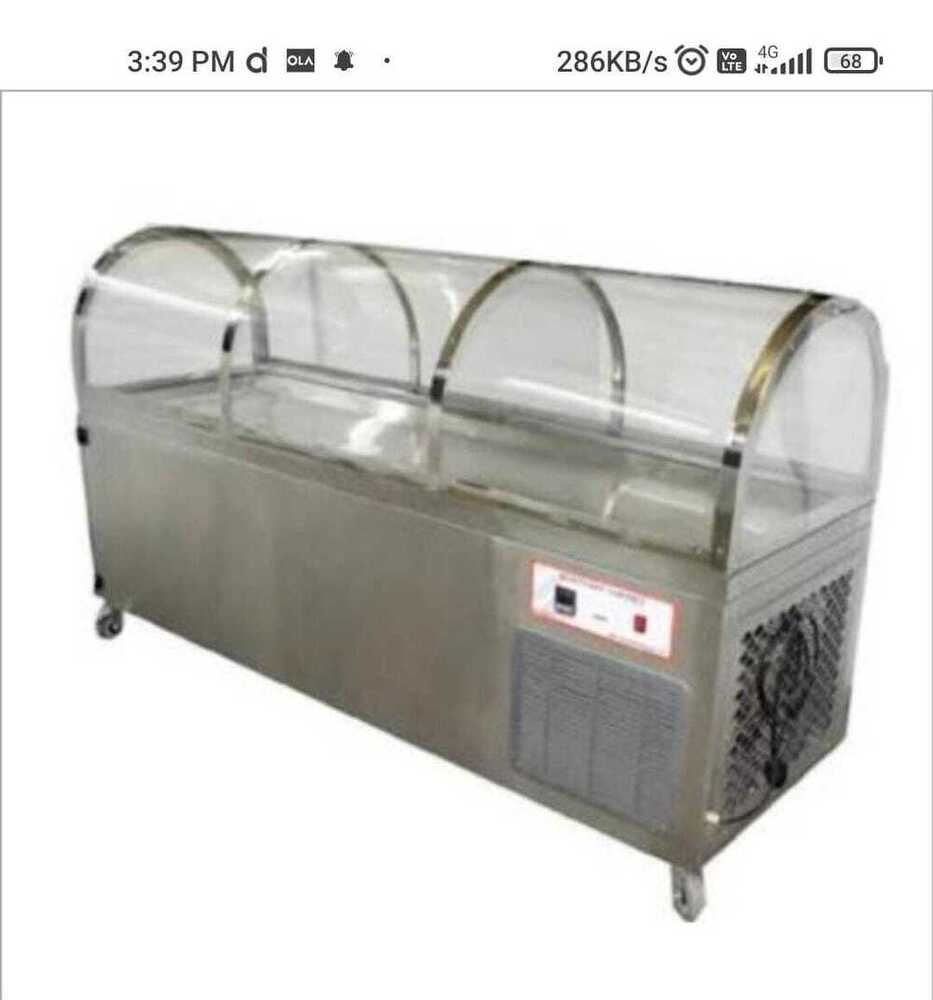 SS Dead Body Freezer