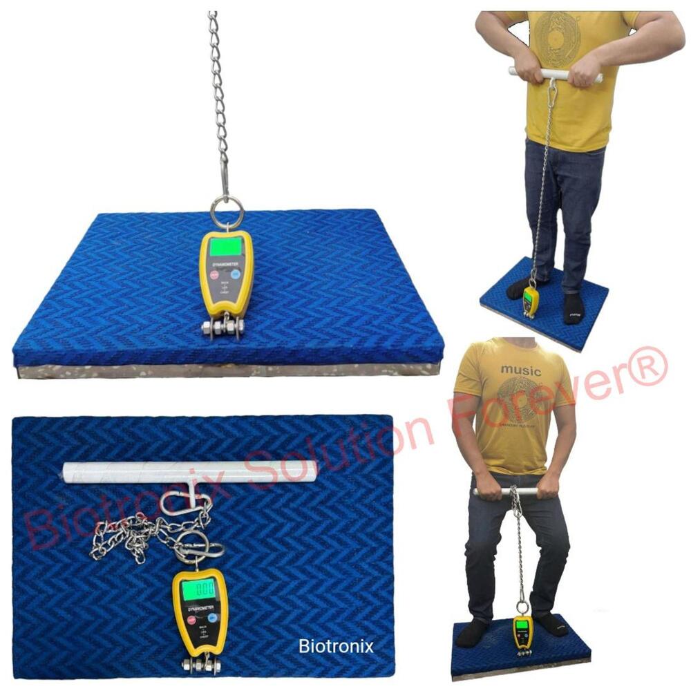 Back, Leg and Chest Dynamometer for Accurate Muscle Strength Assessment