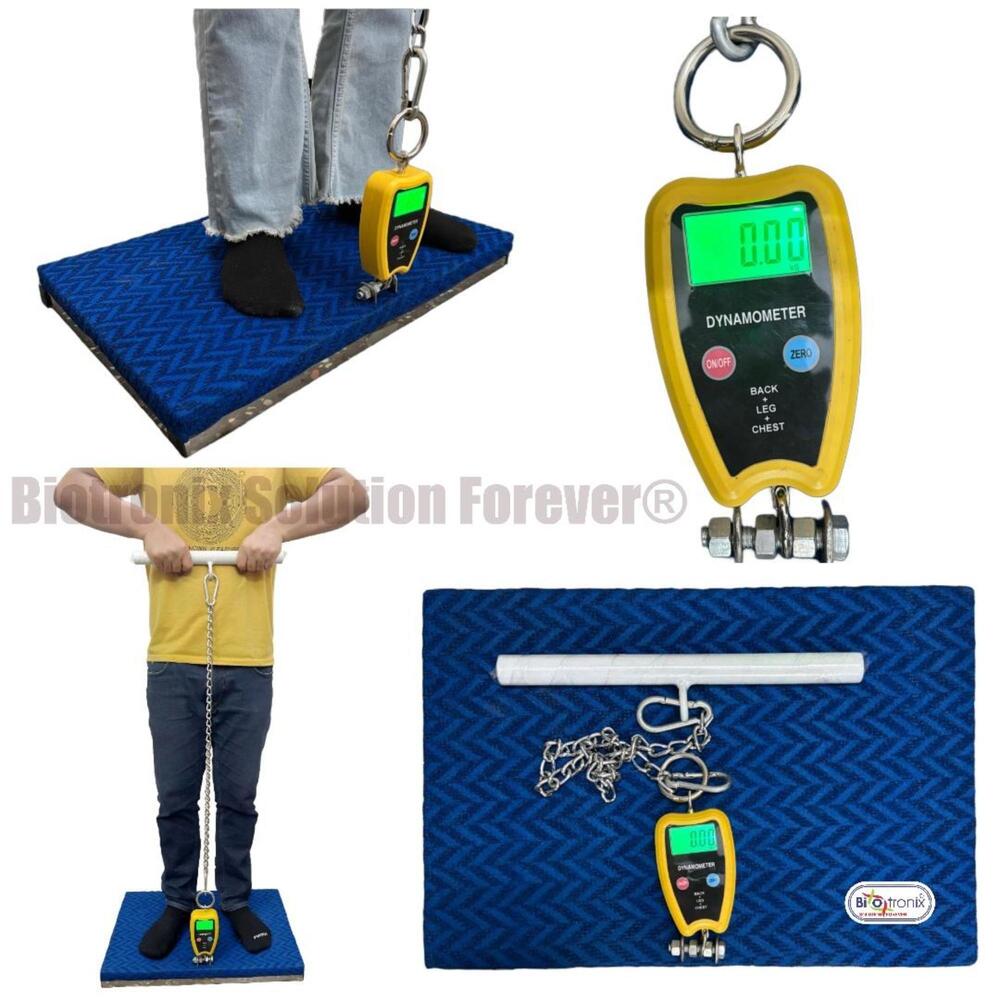 Professional Back Leg Chest Dynamometer for Physiotherapy & Rehabilitation