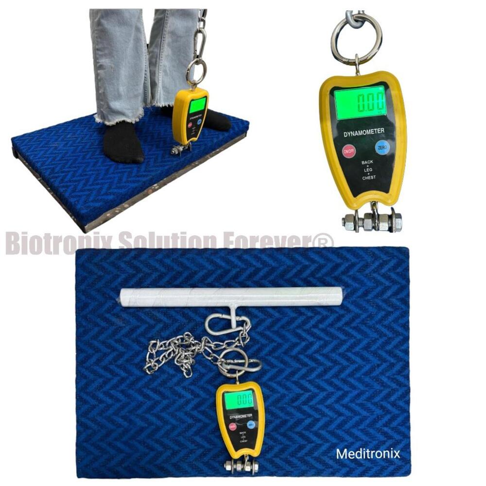Professional Back Leg Chest Dynamometer for Physiotherapy & Rehabilitation
