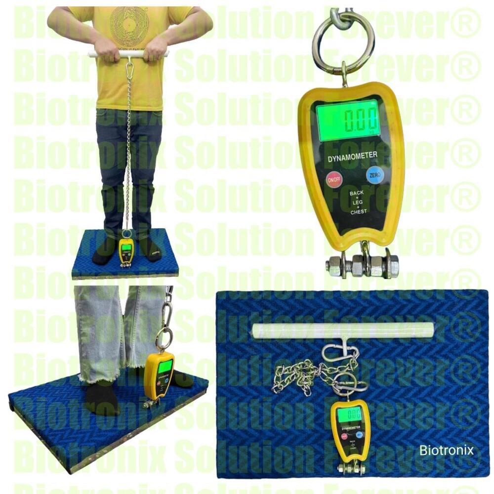 Clinical Back, Leg and Chest Strength Dynamometer for Muscle Testing