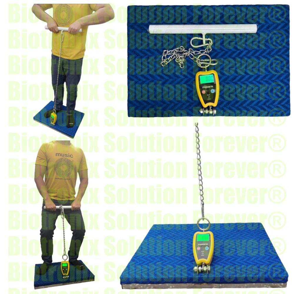 Clinical Back, Leg and Chest Strength Dynamometer for Muscle Testing