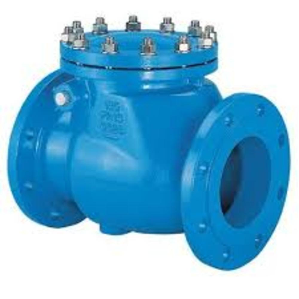 Cast Iron Non Returns Valve