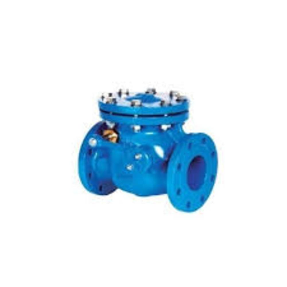Cast Iron Non Returns Valve - Port Size: 2 Inch
