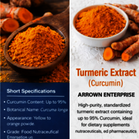 Curcumin Turmeric Extract