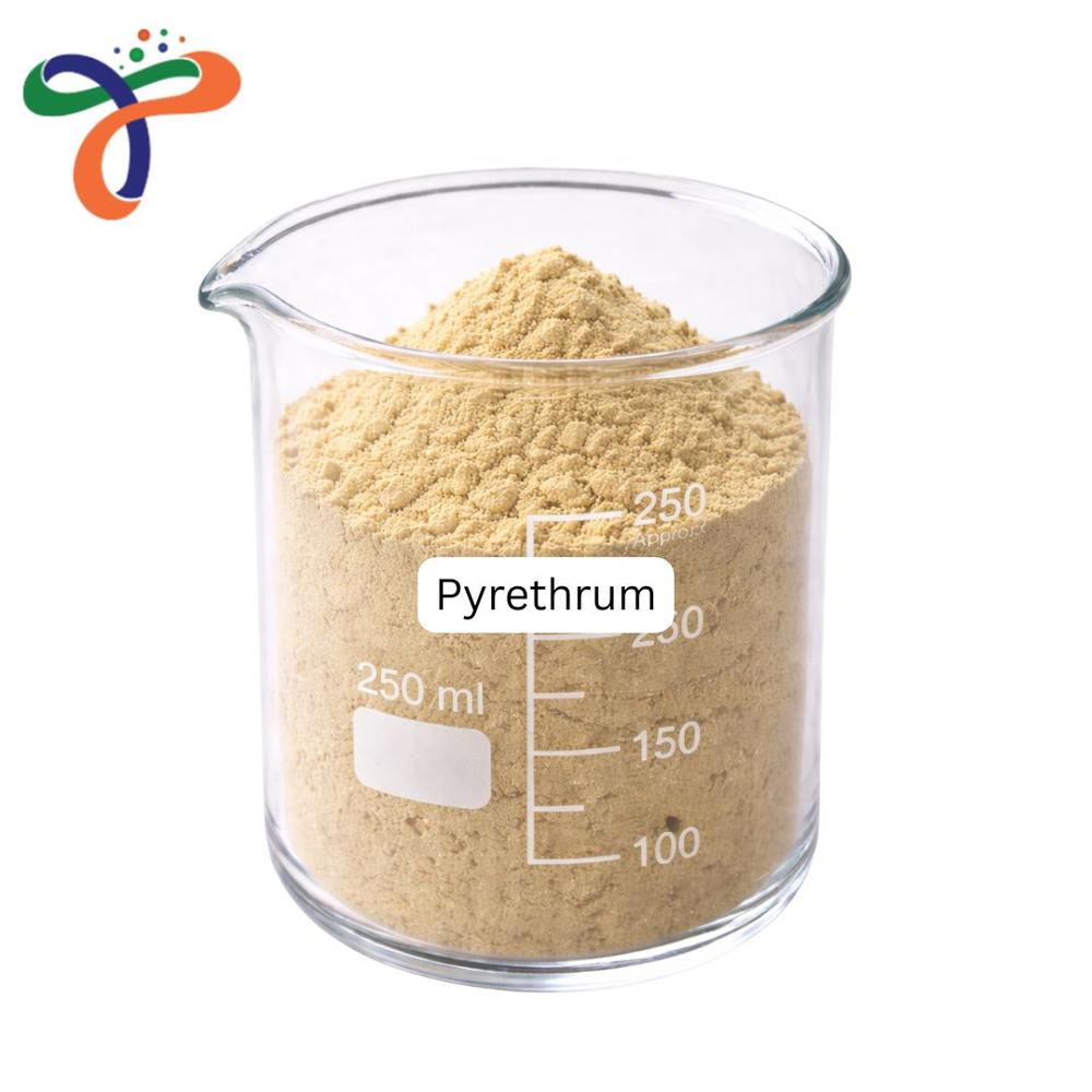 Pyrethrum (8003-34-7)