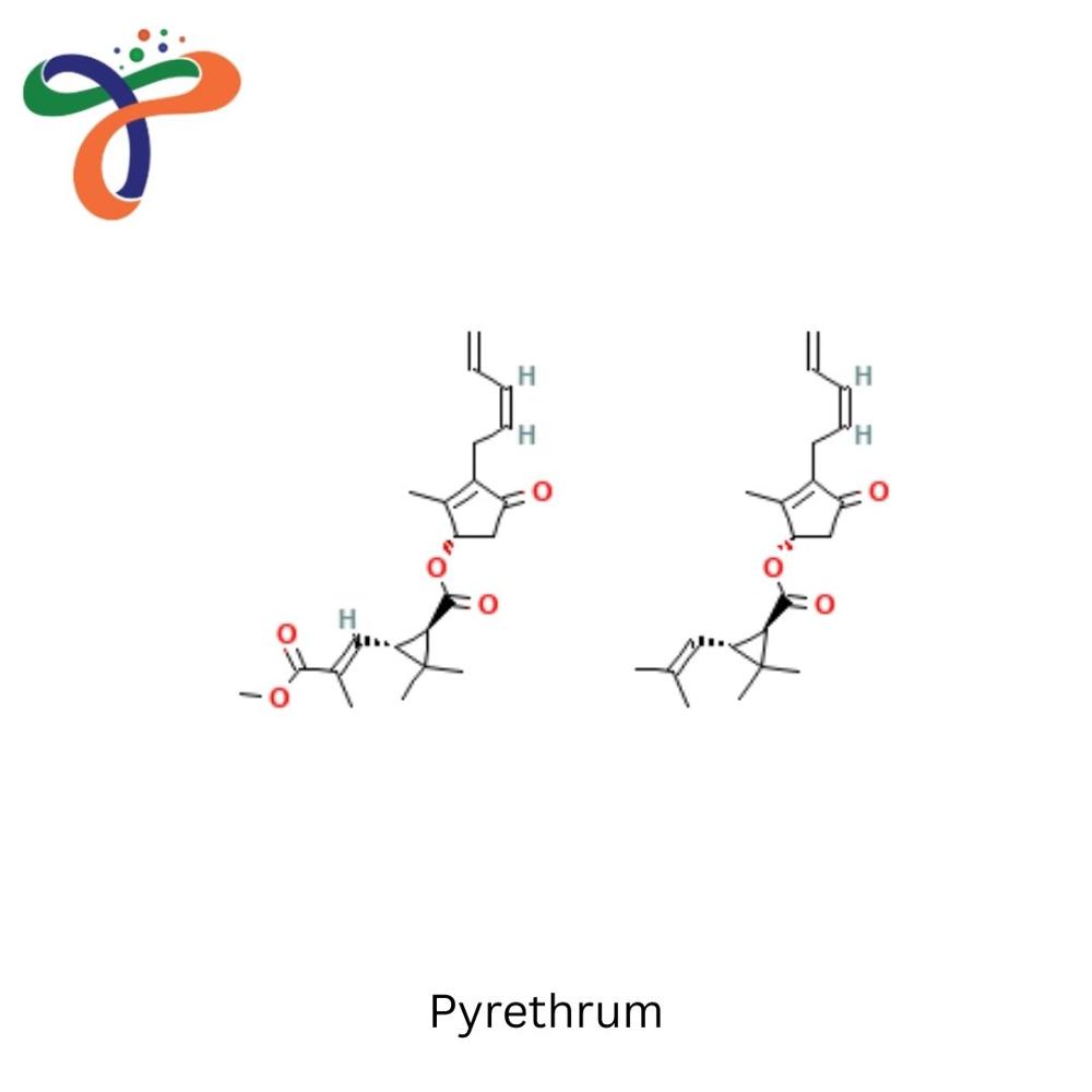 Pyrethrum (8003-34-7)