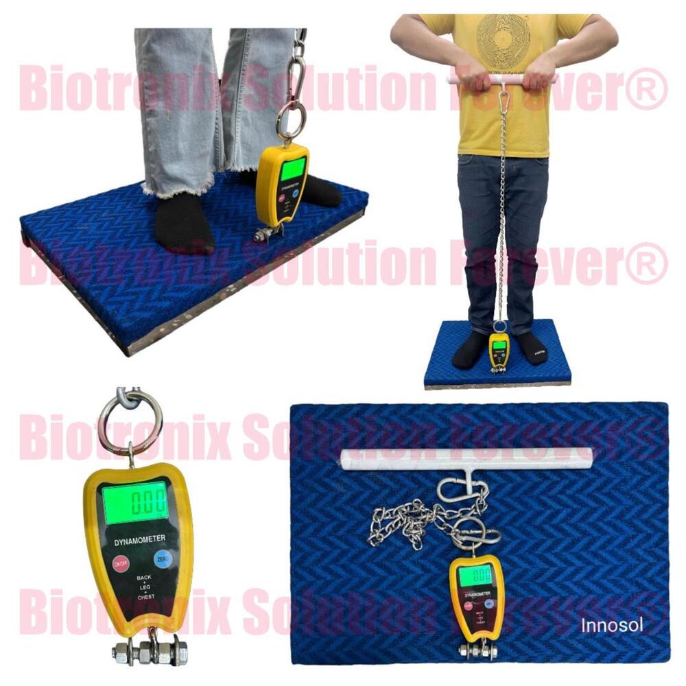 Heavy Duty Back Leg Chest Dynamometer for Rehab & Fitness Evaluation