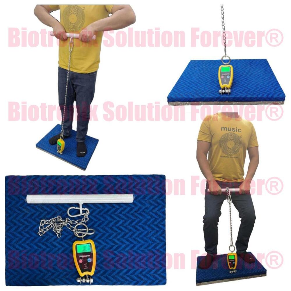Heavy Duty Back Leg Chest Dynamometer for Rehab & Fitness Evaluation
