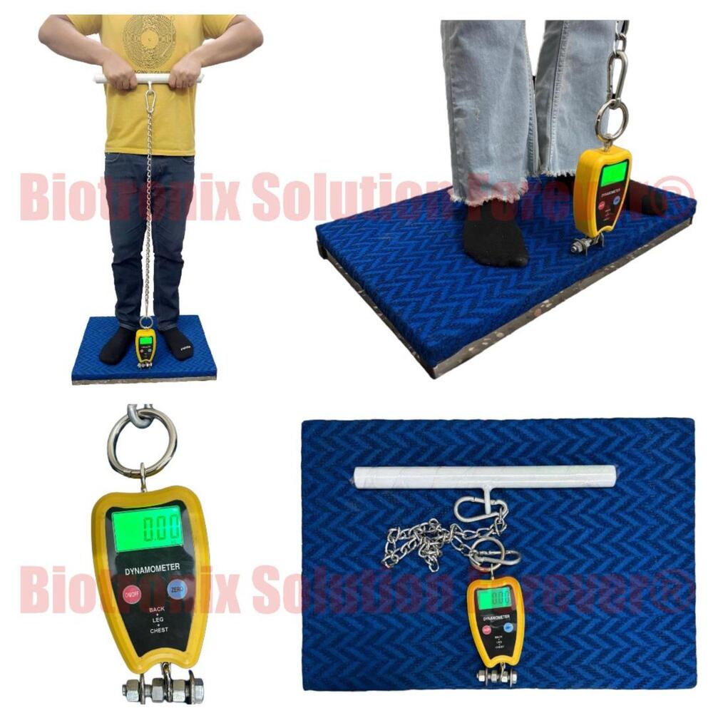 Back, Leg and Chest Muscle Strength Dynamometer for Physiotherapy Clinics