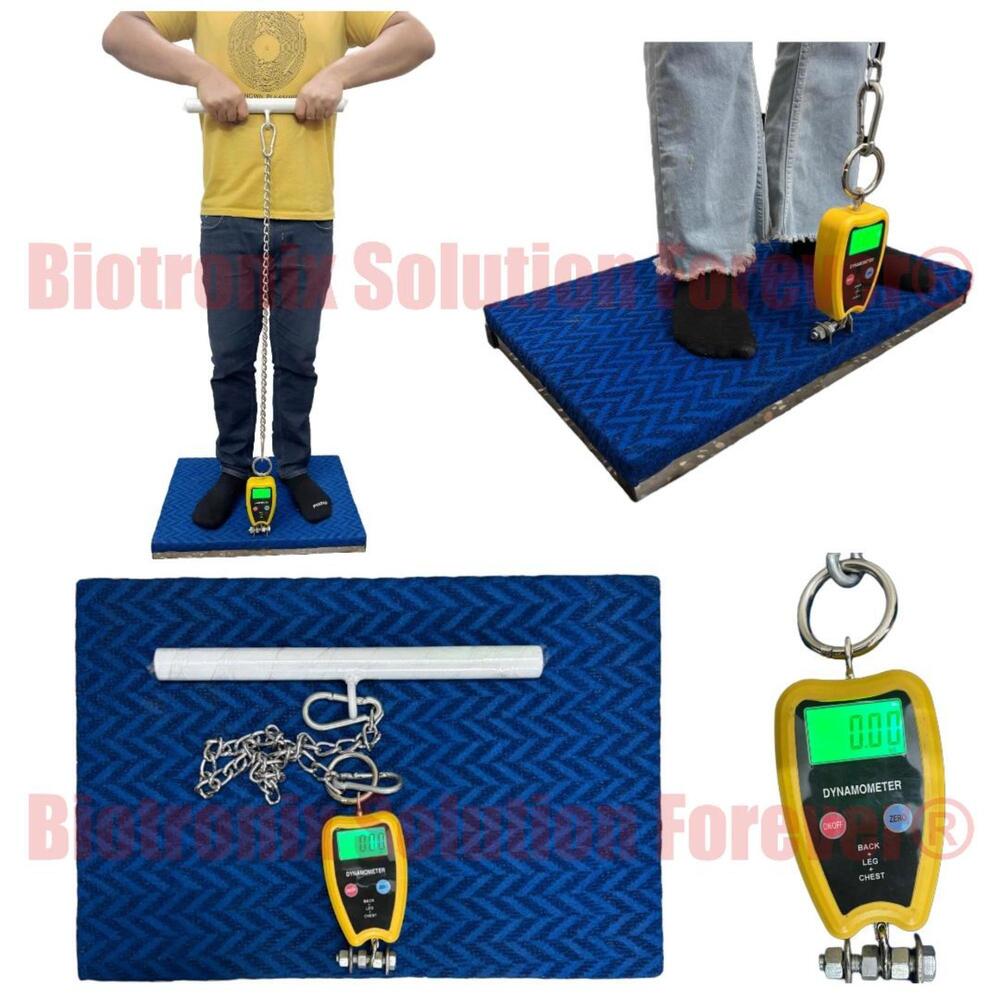 Back, Leg and Chest Muscle Strength Dynamometer for Physiotherapy Clinics