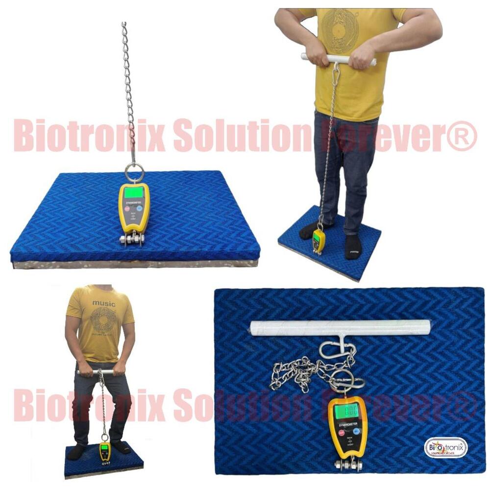 Back, Leg and Chest Muscle Strength Dynamometer for Physiotherapy Clinics