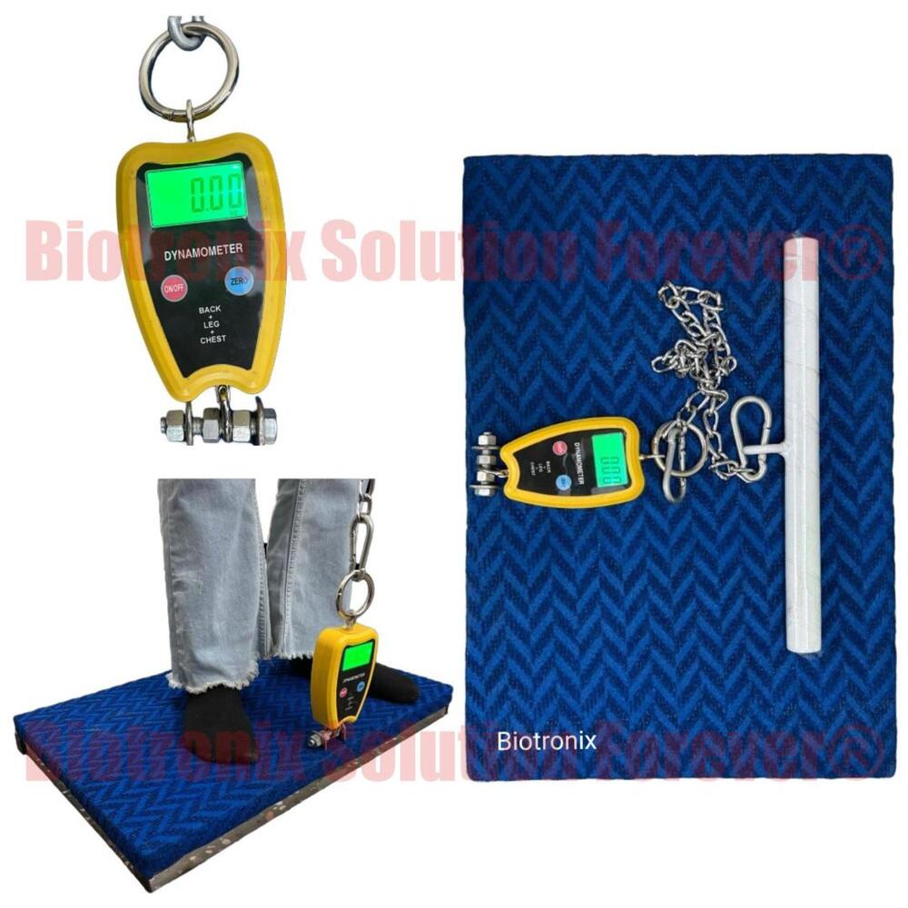 Back, Leg and Chest Muscle Strength Dynamometer for Physiotherapy Clinics