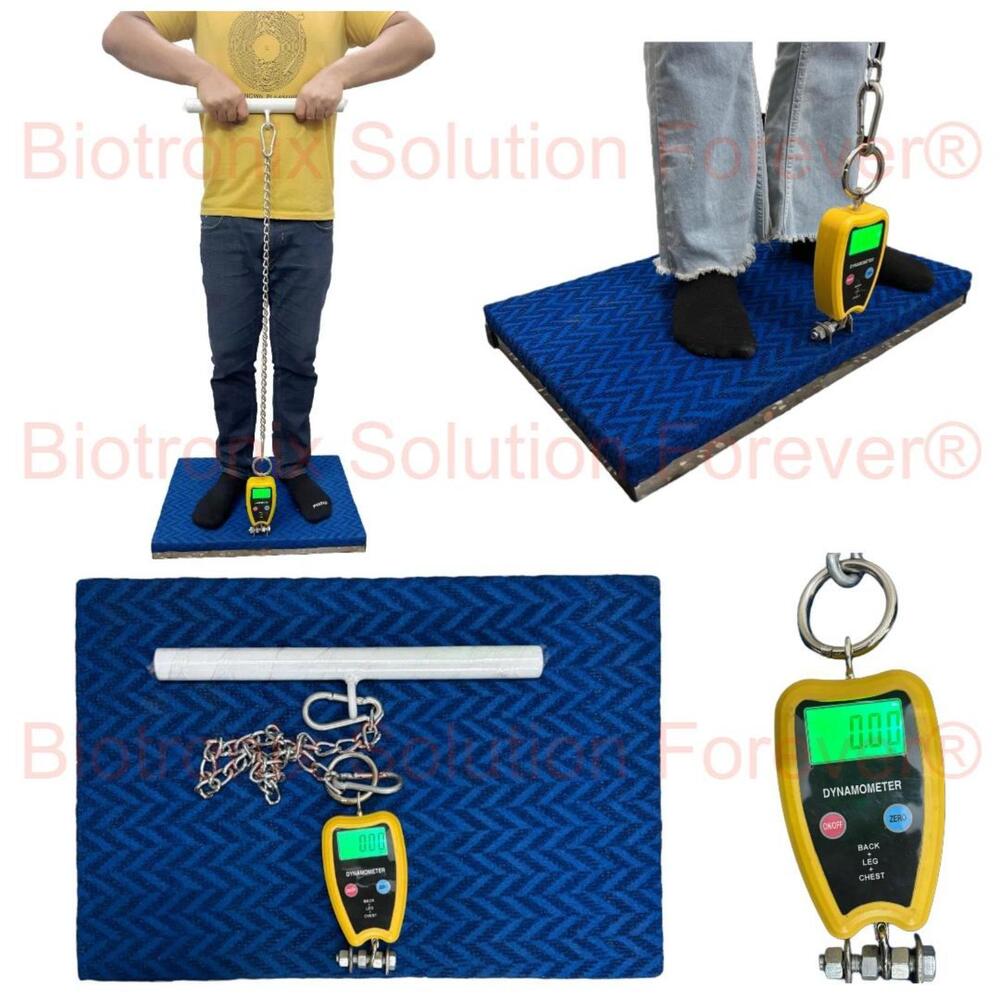 Medical Grade Back, Leg and Chest Dynamometer for Strength Measurement