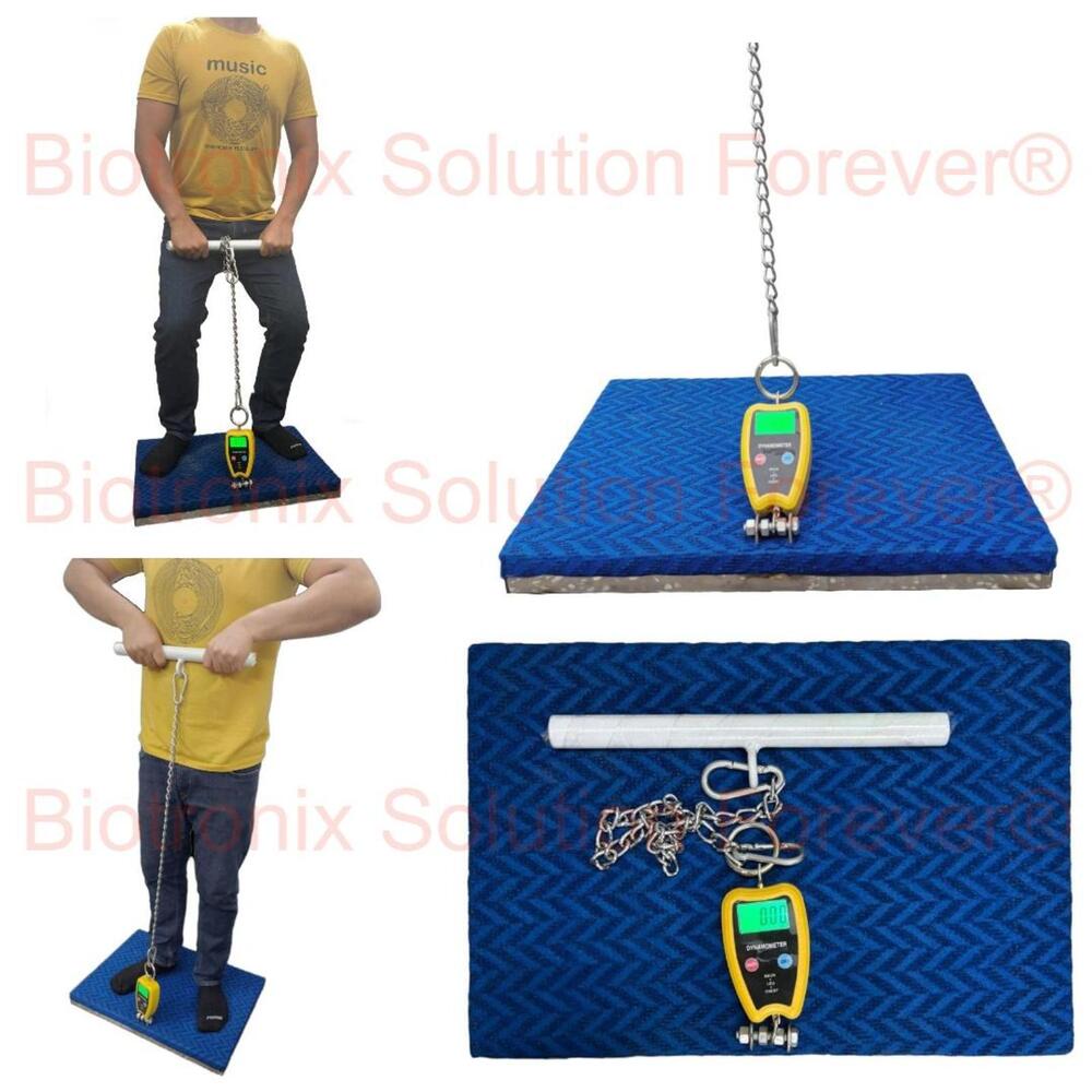 Medical Grade Back, Leg and Chest Dynamometer for Strength Measurement