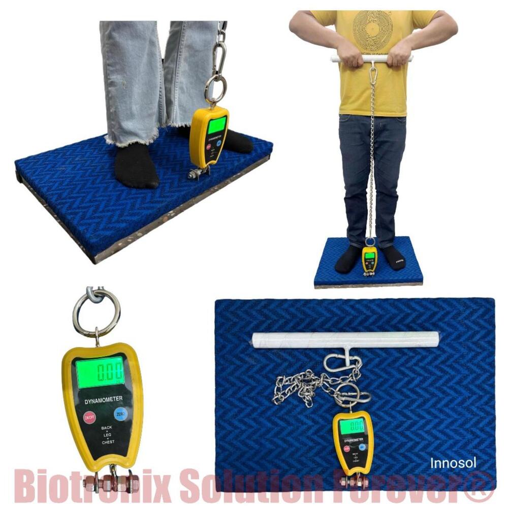 Back Leg Chest Dynamometer for Isometric Muscle Strength Testing