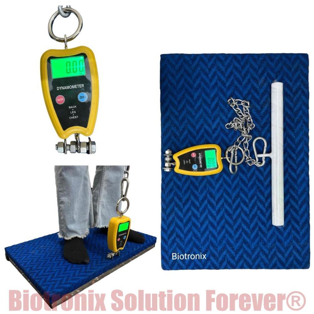 Back Leg Chest Dynamometer for Isometric Muscle Strength Testing