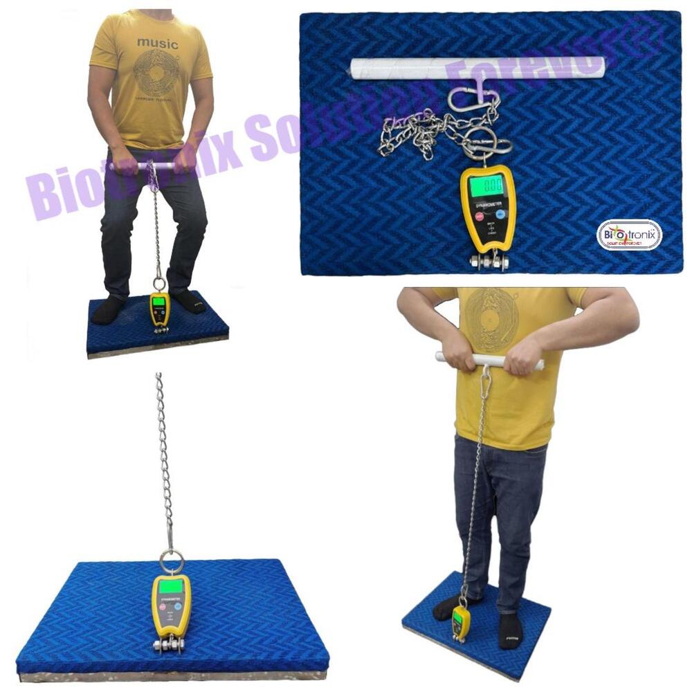 Physiotherapy Back, Leg and Chest Dynamometer for Rehabilitation Progress Tracking