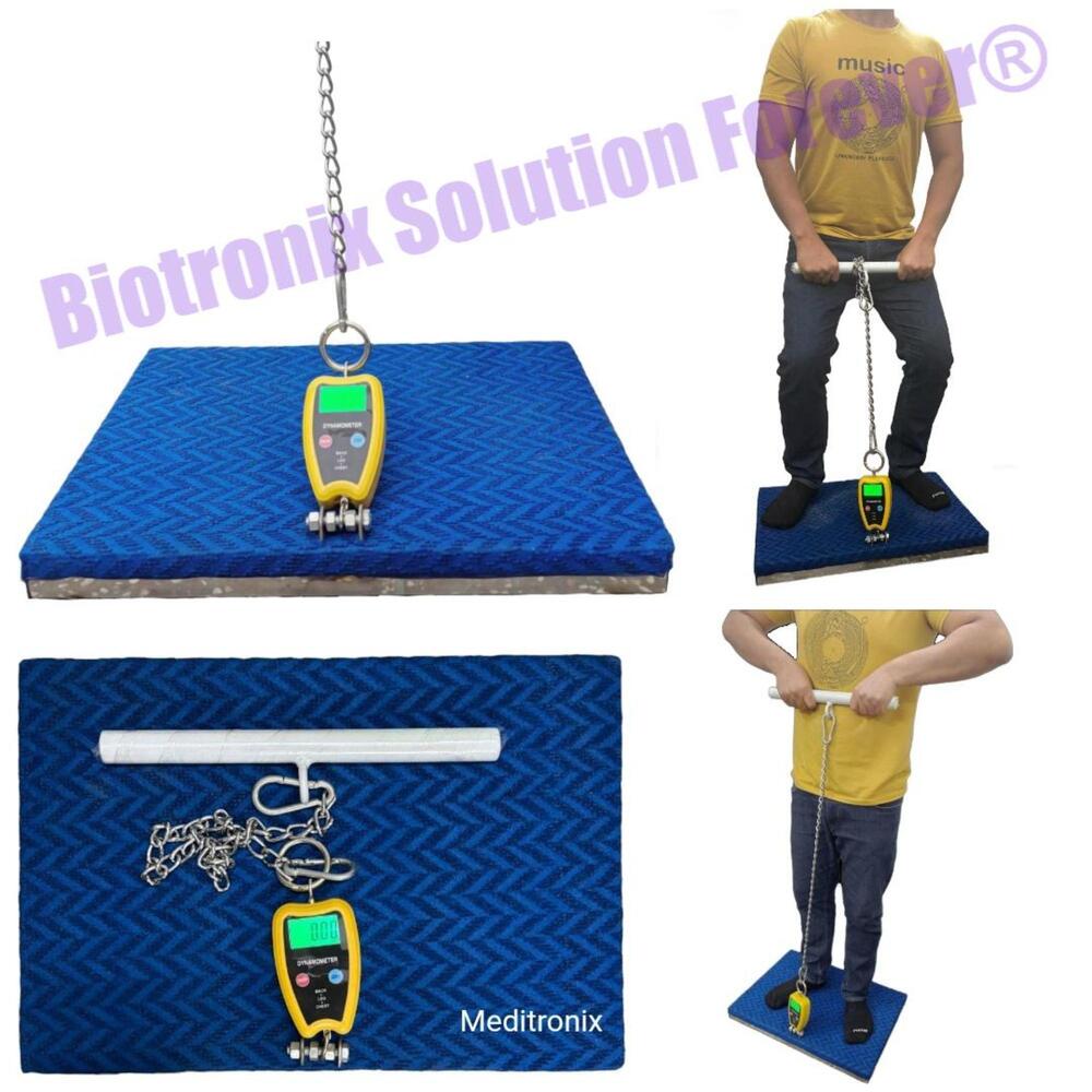Physiotherapy Back, Leg and Chest Dynamometer for Rehabilitation Progress Tracking