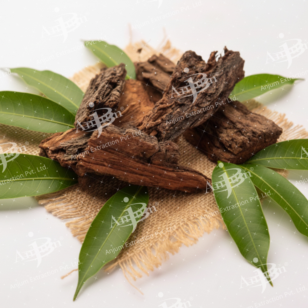 Amba Chaal (Mangifera indica) Extract