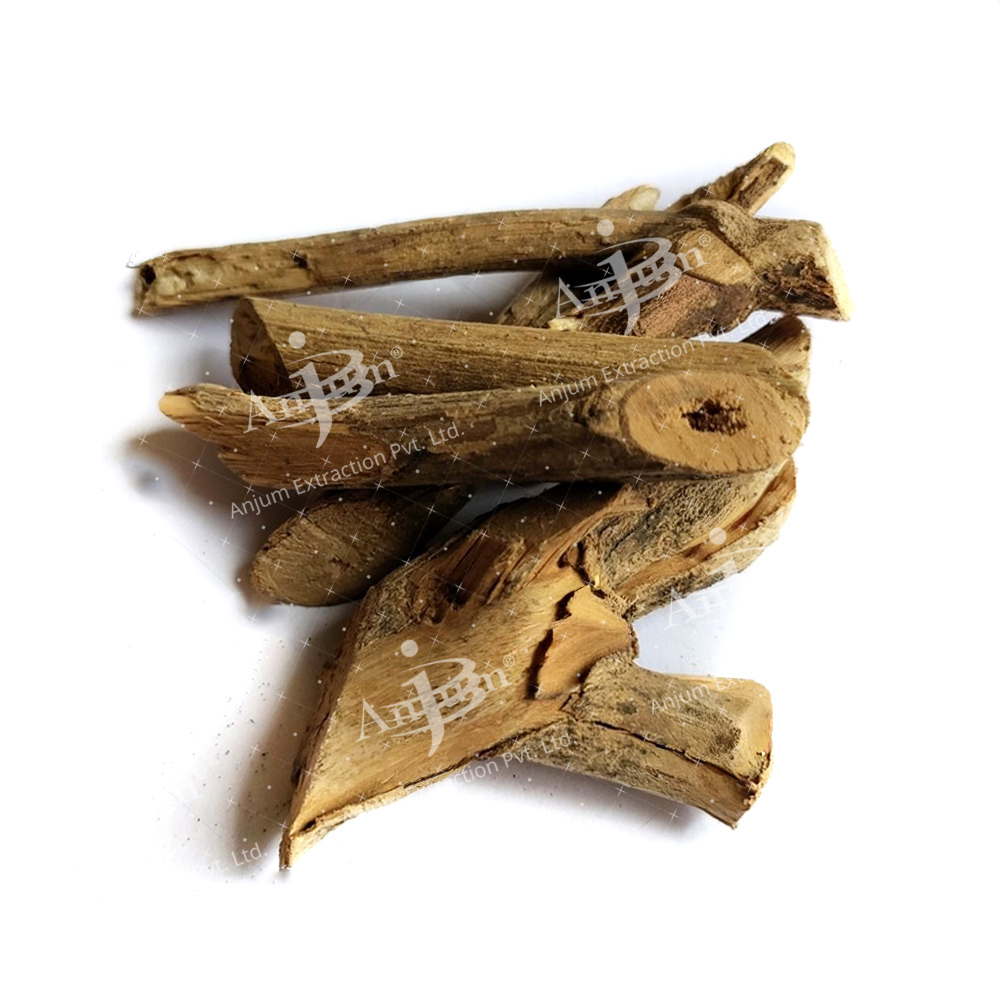 Arni Mool (Clerodendrum phlomidis) Extract