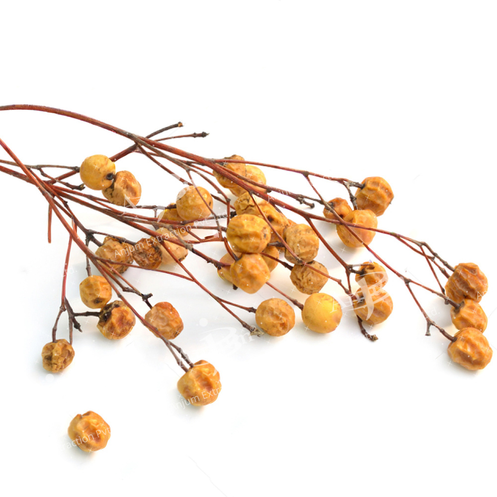 Bakayan (Melia azedarach) Extract