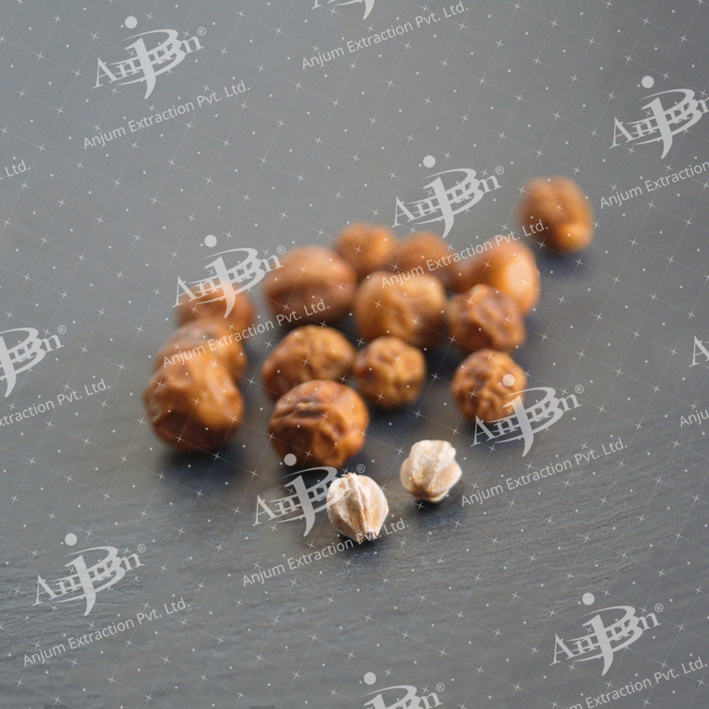 Bakayan (Melia azedarach) Extract