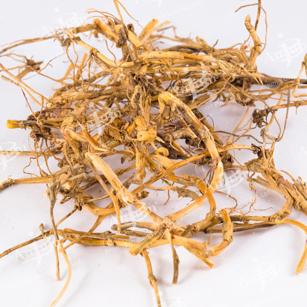 Durva (Cynodon dactylon) Extract