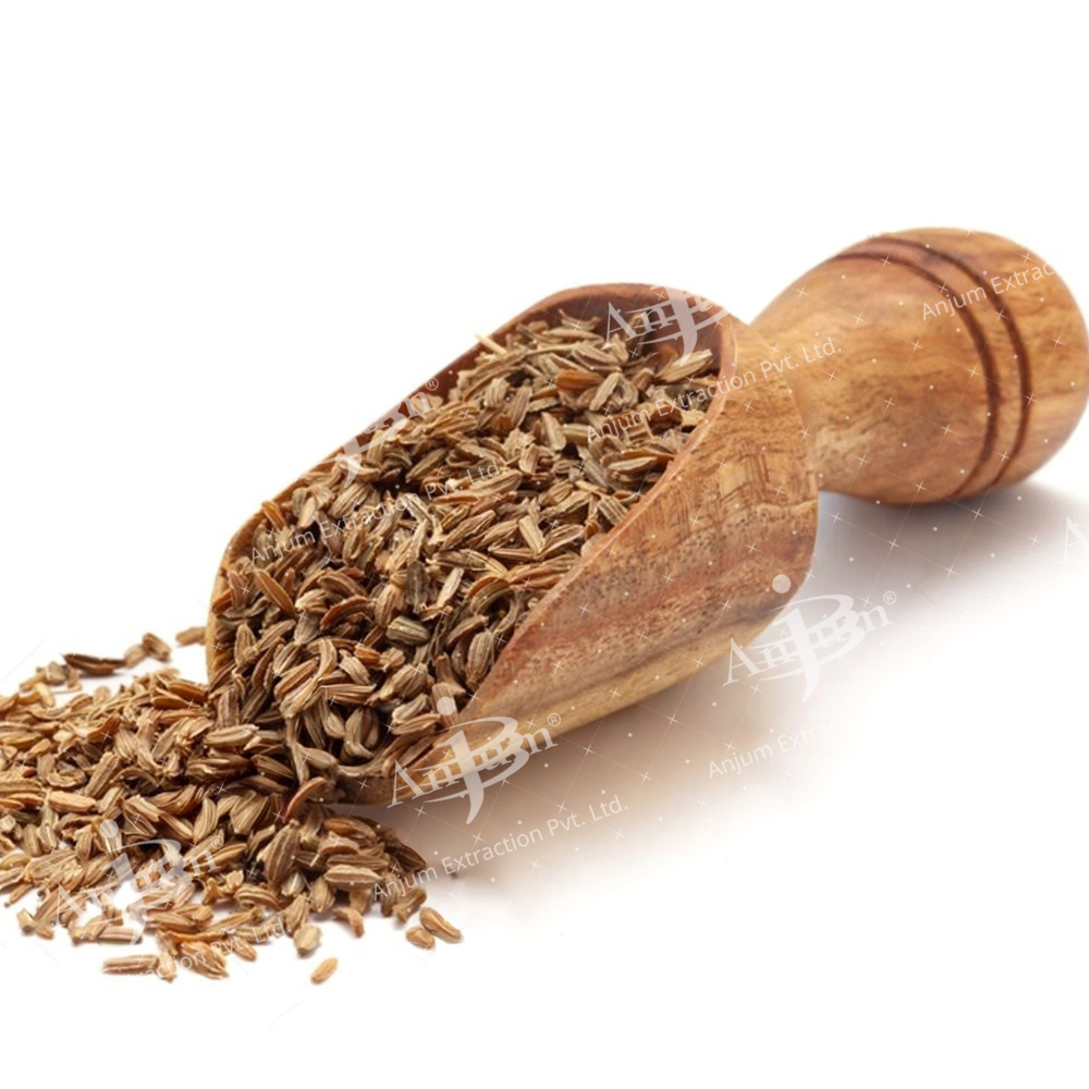 Gajar Beej (Daucus carota) Extract