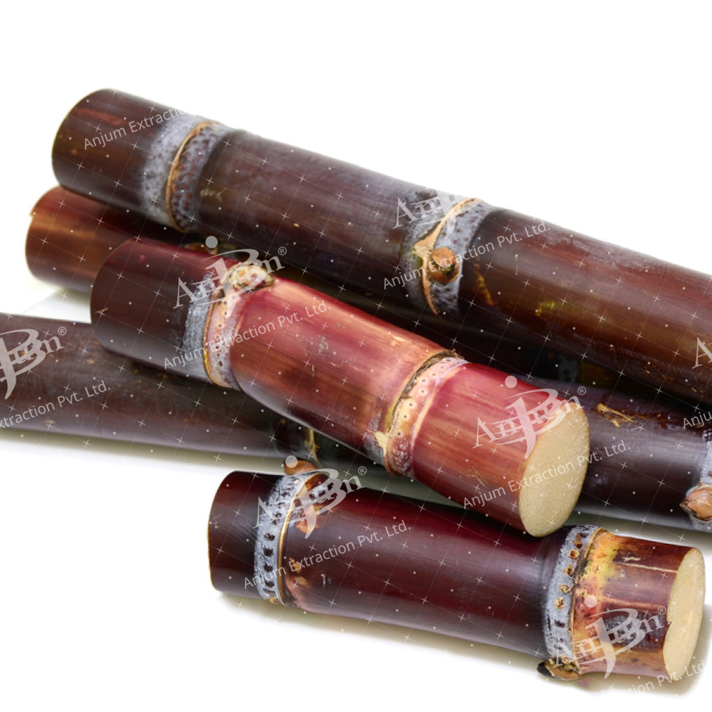 Gannamool (Saccharum officinarum) Extract