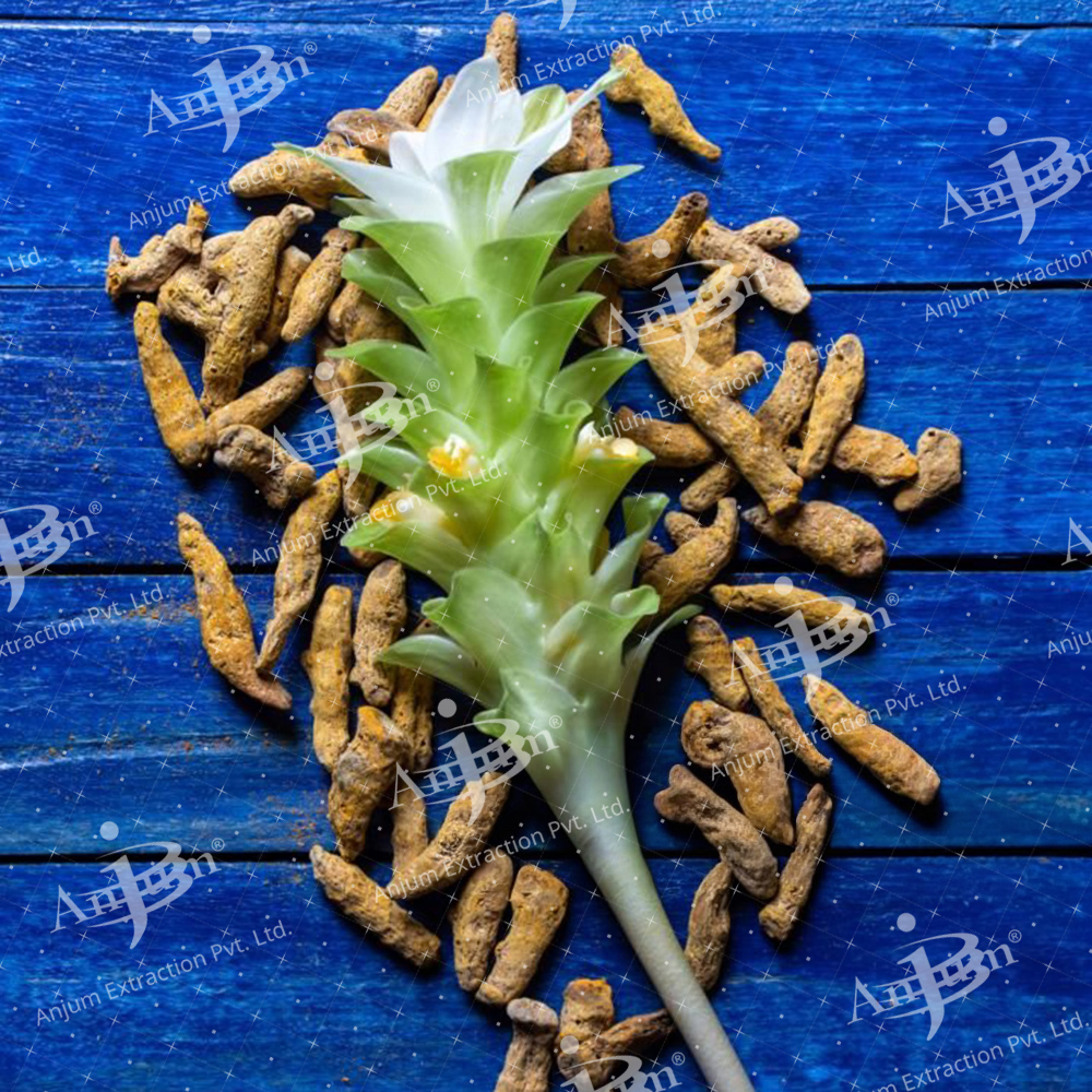 Amba Haldi (Curcuma amada) Extract