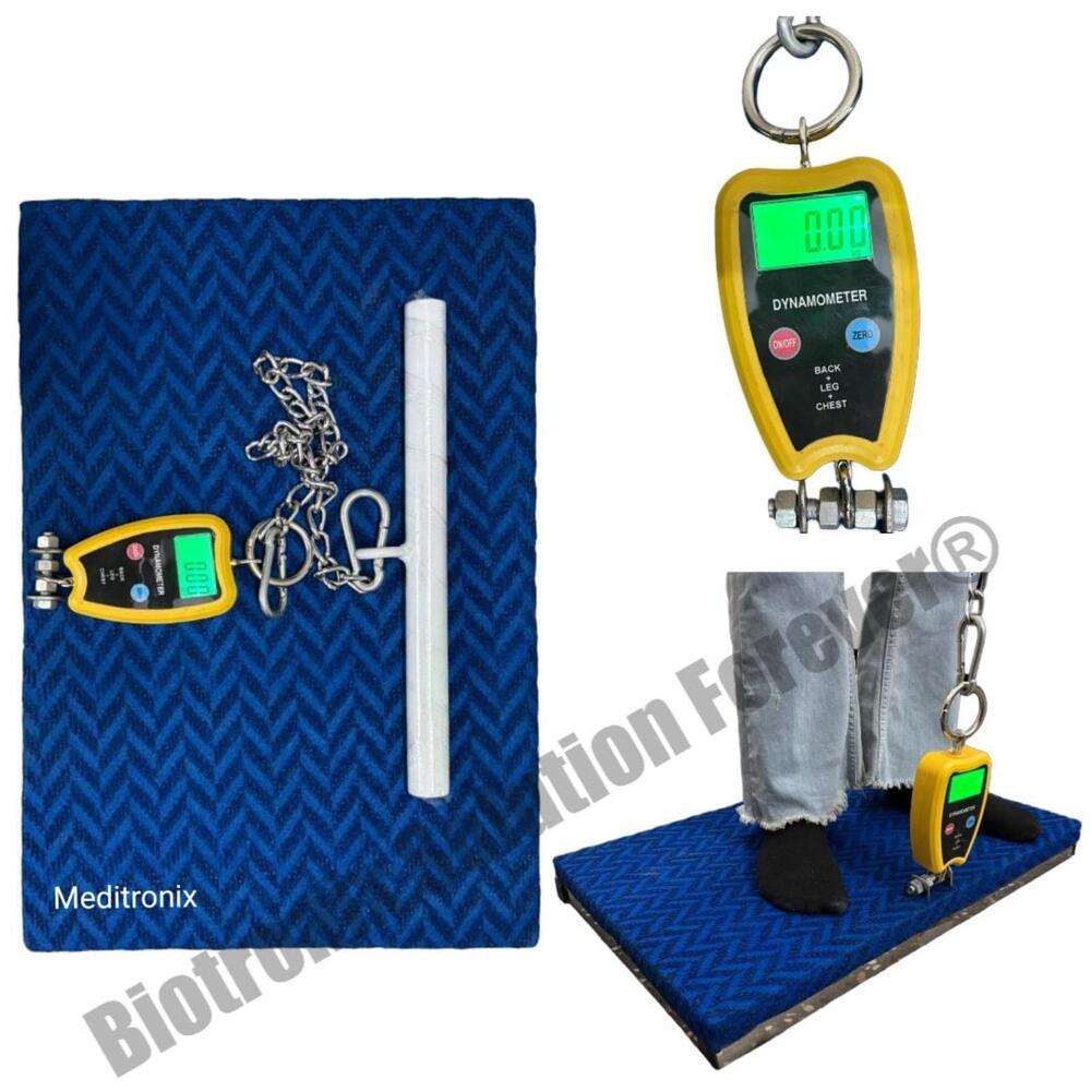 Durable Back Leg Chest Dynamometer With High Accuracy Scale