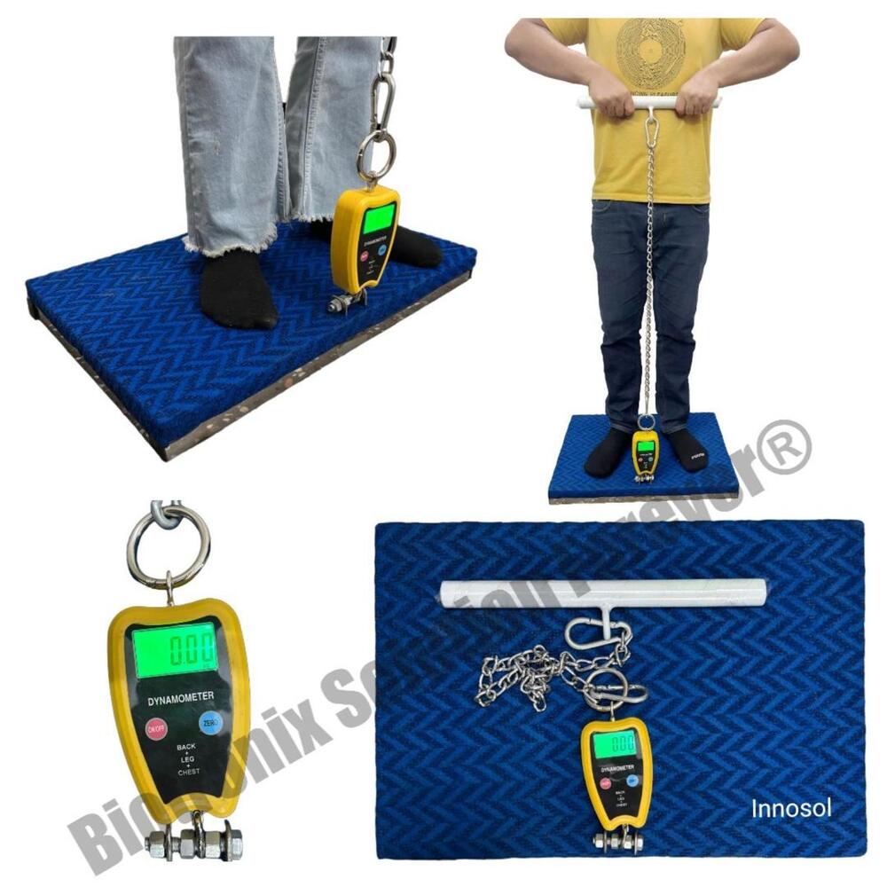 Durable Back Leg Chest Dynamometer With High Accuracy Scale