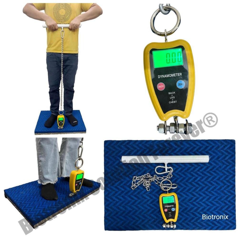Durable Back Leg Chest Dynamometer With High Accuracy Scale