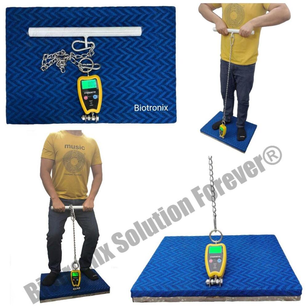 Durable Back Leg Chest Dynamometer With High Accuracy Scale