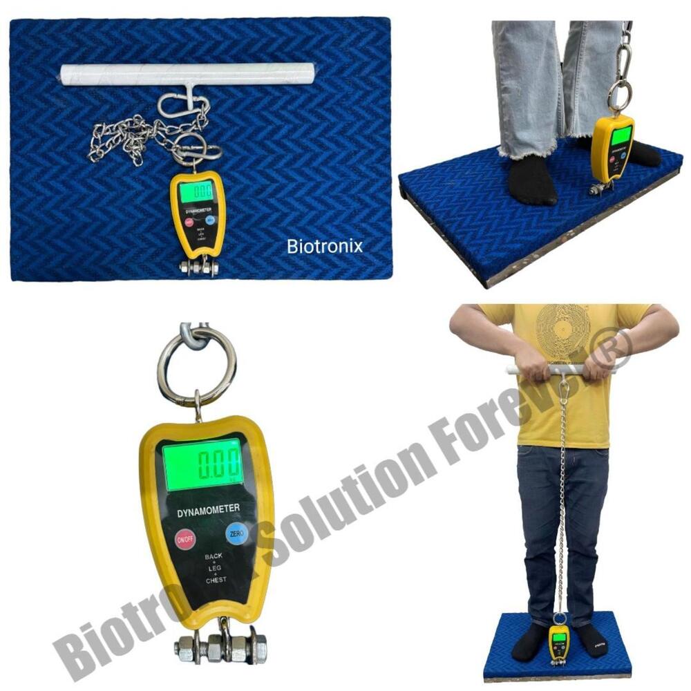 Durable Back Leg Chest Dynamometer With High Accuracy Scale