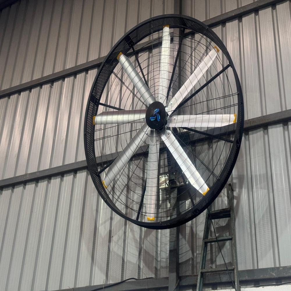 Industrial Big  Wall Fan