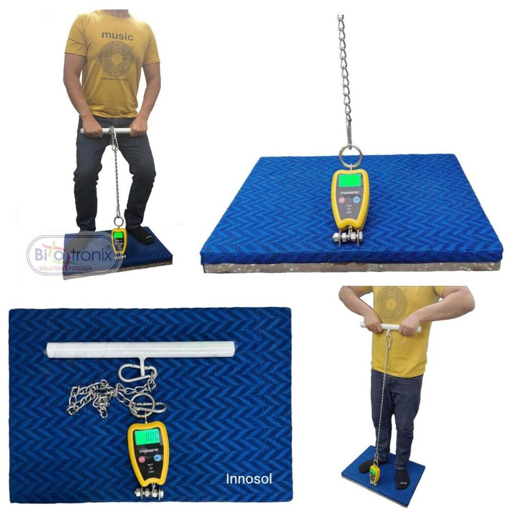 All-in-One Back Leg Chest Dynamometer for Physiotherapy Assessment