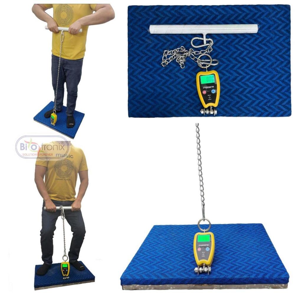 Back Leg Chest Muscle Testing Dynamometer for Rehab & Fitness Centers