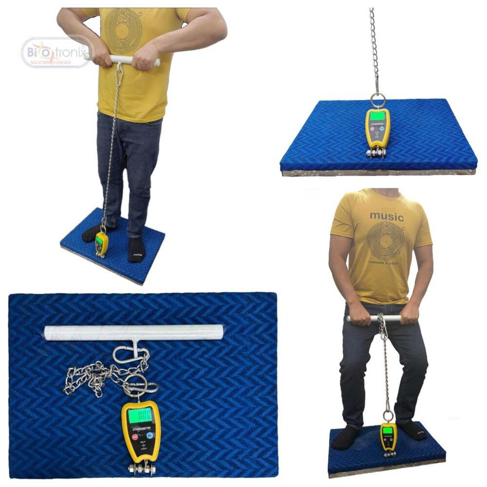 Clinical Muscle Strength Analyzer Back, Leg & Chest Dynamometer