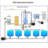 RAS Aquaculture System
