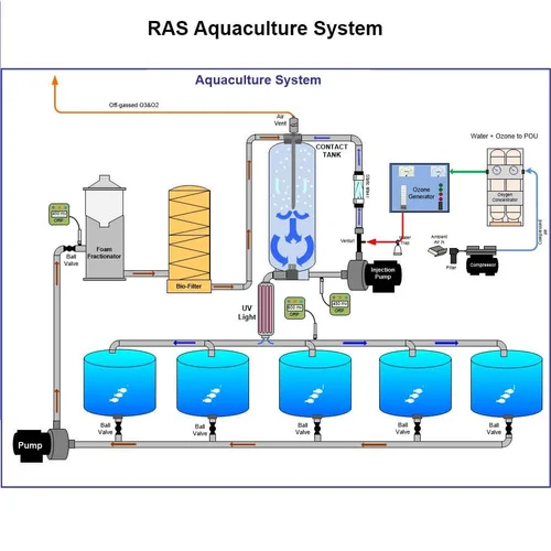 Recirculating Aquaculture System - Automatic Grade: Full Automatic