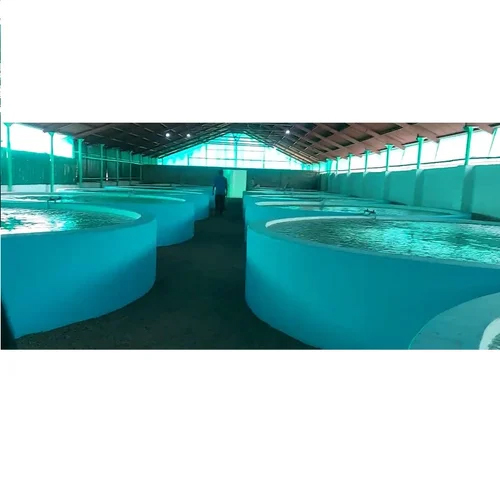 Recirculating Aquaculture System - Automatic Grade: Full Automatic