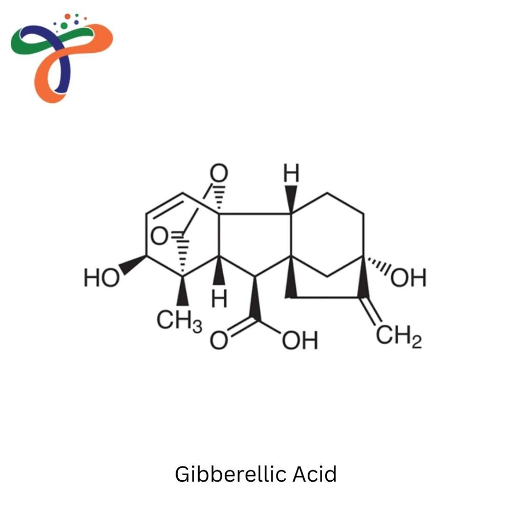 Gibberellic Acid