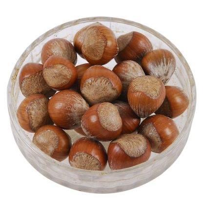 Hazel Nuts