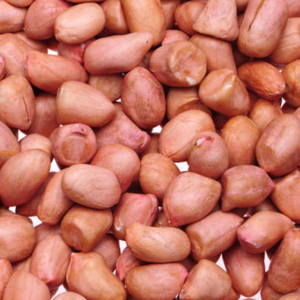 Dried Peanuts