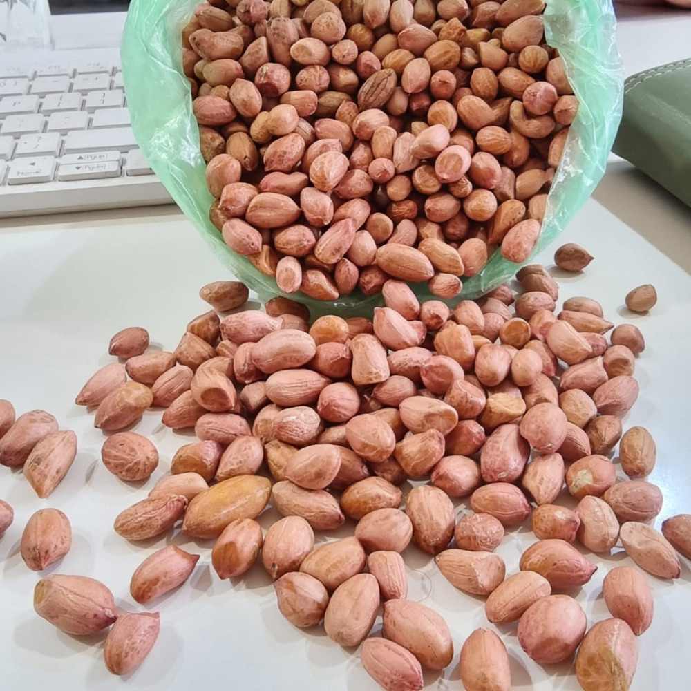 Dried Peanuts