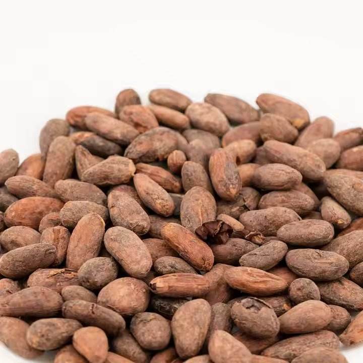 शेल कोको बीन्स