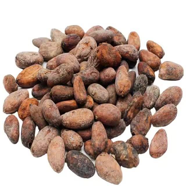शेल कोको बीन्स