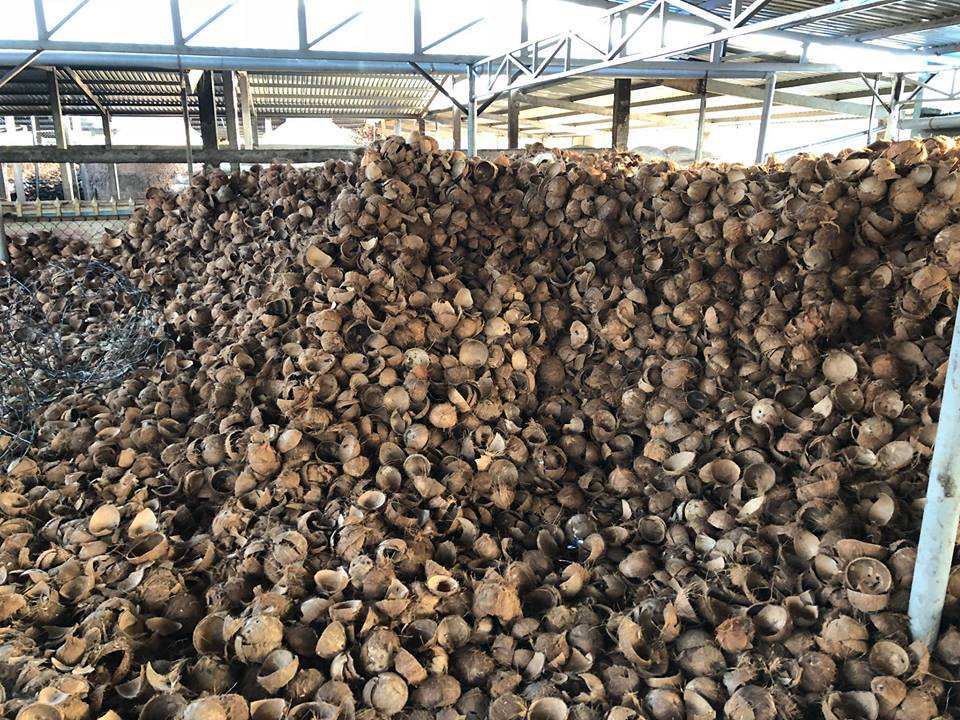 Coconut Shell Charcoal - Color: Brown